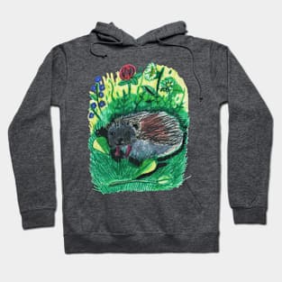 Curious Hedgehog Hoodie